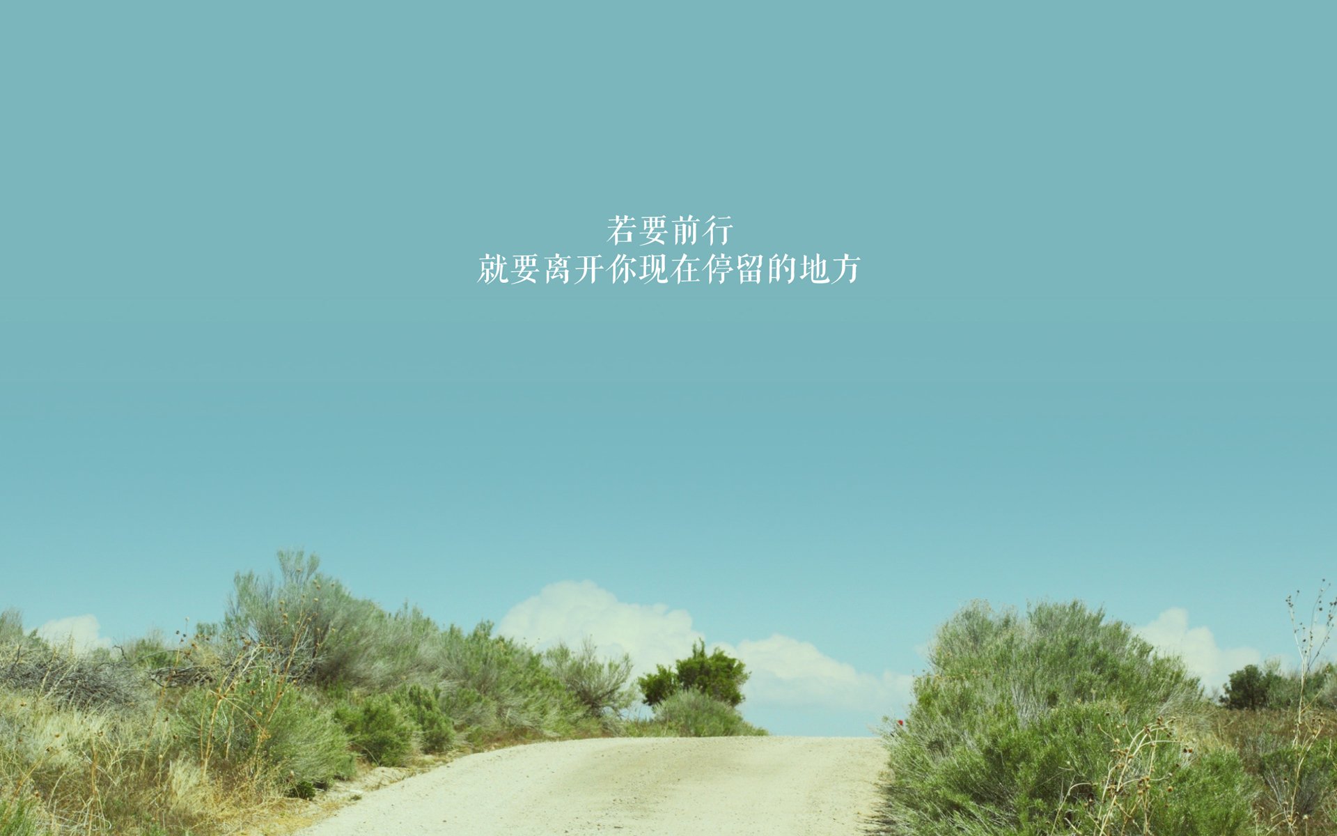 开云彩票-国际田径赛事北京站吸引全球顶尖选手参赛,国际田径赛事北京站吸引全球顶尖选手参赛