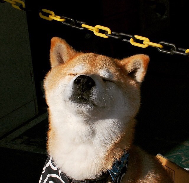 开云体育官网登入-夺冠“武器”_ 欧冠冠军的必备要素，欧冠夺冠奖金是多少